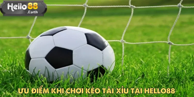 Hello88 là lựa chọn lý tưởng cho người yêu thích cá cược kèo tài xỉu